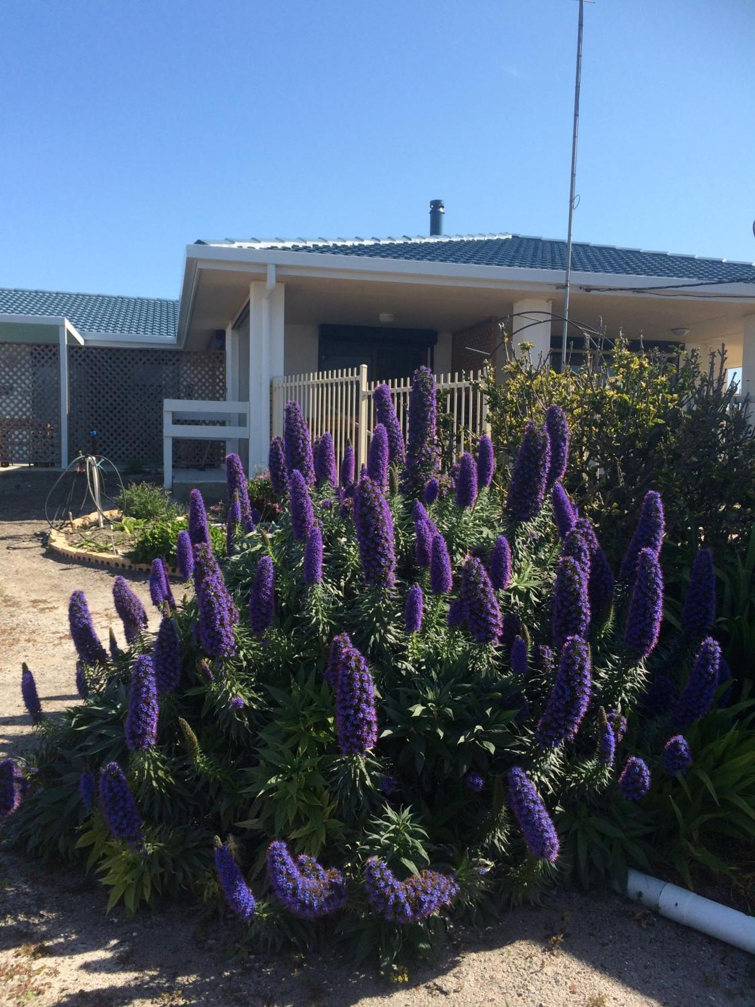 Salty Air Apartments Kingscote Kangaroo Island Exterior foto